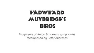 EADWEARD MUYBRIDGE'S BIRDS