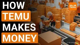 How Temu Makes Money in USA?