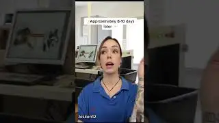 Новичок-офицер работает в тюремном магазине #сценка #тюрьма
