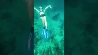 Enjoying the fun dive experienced#fypage #fypyoutube #freediving #fundive