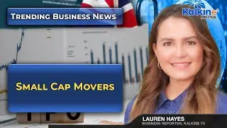 Small Cap Movers