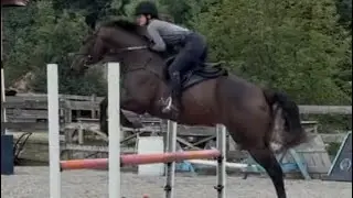 Abigail O’Rourke RRP Application - Jump video