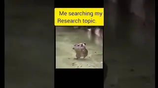I am searching for my research topic #economic #funny #memes #economist #phd #economics #phdmemes