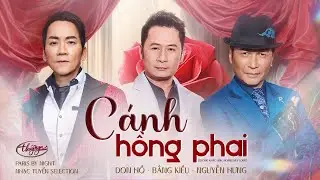 Cánh Hồng Phai | Bằng Kiều, Nguyễn Hưng,  Don Hồ | PBN Nhạc Tuyển Selection