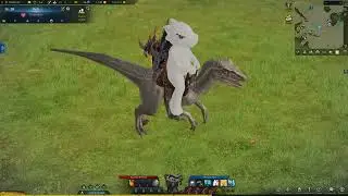 Gray Stripe Raptor Mount, Lost Ark