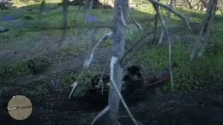 Red Dead Redemption 2 Random Shit 33 [by Roothouse Gaming]