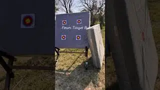 target buttress 🏹🎯🎯#viral #cricket #archery #trending #sports #shorts #shortvideo