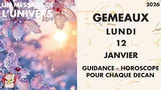 GEMINI MONDAY, JANUARY 12th Deep reflection, stability, and finances to rebalance