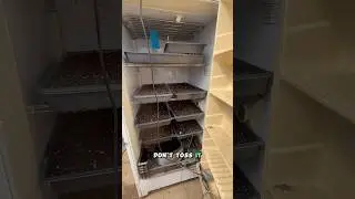 Old Fridge, Best Germination Chamber!
