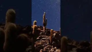 🇨🇱 The Milky Way over a cactus forest inthe Atacama desert.#atacama #desert#milkyway#cactus #forest