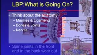 CME Orthopedics Course -- Skeletal Regeneration: Growth & Development Symposium