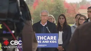 B.C. Conservative candidate under fire for offensive posts &mdash; again