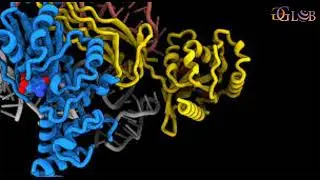 This Is How the Body&rsquo;s Building Blocks Are Made