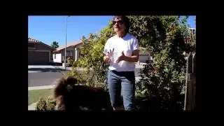 Directionally Challenged, Try This Simple Tip