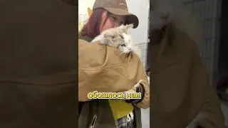 Спасение кота в Китае ч.4