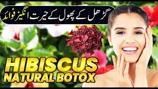 “Hibiscus Flower for Skin Care | Natural Anti-Aging & Glowing Skin Remedy”