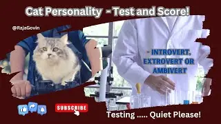 Cat Personality Test and Score - Introvert, Extrovert or Ambivert பூனையின் நடத்தை பண்புகள் 🐈&zwj;⬛❤️🤟