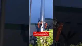 Workers are installing power line support poles #craftsmenship #industrial #funny #skilledcraftsmen
