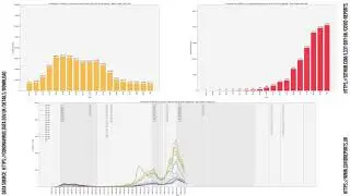 Evolution of COVID-19: Cases and Deaths