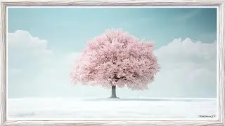 Cherry Blossom | Ambient Japanese Framed TV Art 4K | Screensaver 1 Hour | Sound ON
