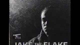 JAKE THE FLAKE NO MATTER
