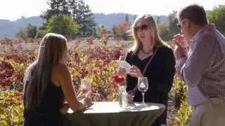 A Wine & Food Affair at Ridge Vineyards - Lytton Springs