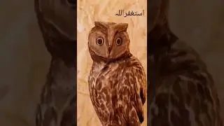 We made a wooden owl with an electric saw 💥 Cool DIY TatralWood #woodworking #tatral #carving#shorts