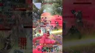 ESO's Best PvP Tank Build | 1 vs Hammer #elderscrollsonline #eso #esopvp #esobuilds #metabuild #pvp