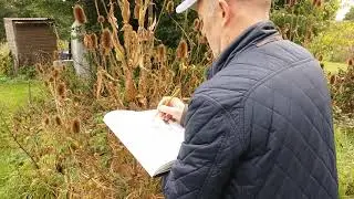 2017 Felsham allotment - Paul Evans
