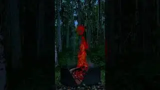 🔥 Alaskan Campfire Ambience | Birch Forest Fire Sounds at Dusk for Sleep, Relaxation & Study🌲