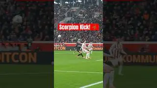 MUST WATCH! Scorpion Kick goal by Martin Terrier! 🤯🦂