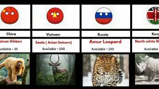 Animals and Birds That May Become Extinct by 2050 #rareanimals