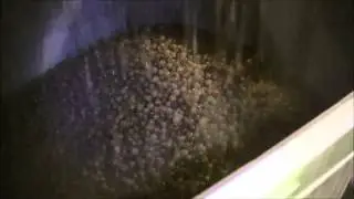 Armbruster - ROTOVIB - Rollersorter - Riesling