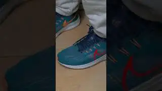 Nike Air Zoom Pegasus 39 around view