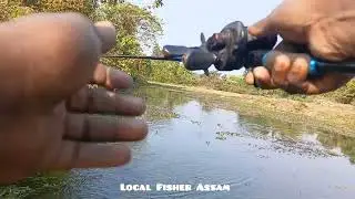 How to Fishing winter season ll Thand ma Fishing ll frog lure fishing ll local Fisher Assam 