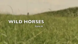 FELIX K - Wild Horses [Rolling Stones Cover] - in Memoriam of Charlie Watts