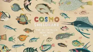 Birthday Suit, Cosmo Sheldrake [Extended Mix]