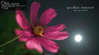 「ピアノアレンジ」椎名もた (1995-forever) // さよーならみなさん -Rainy Day City LXXXVIII-【おた❤️‍🌌2025】