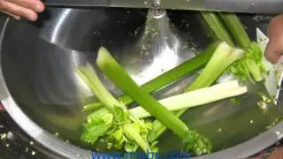 Value Plus VPBC45 VPBC55 Bowl Chopper Jalapeno and Celery Demo 323 268 8514