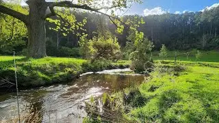 Грязные воды, где ловят форель и раков