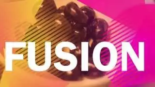 gourmet fusion 2