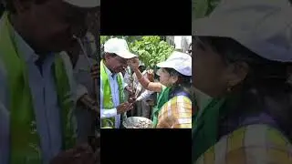 #harithaharam #kcr #kcrnews #brsnews #brs #universe #trees #shorts #trending #short #reels #ytshort