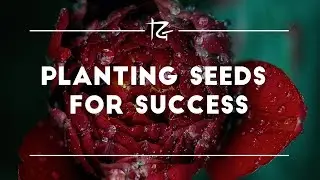 Ep. 201 Planting Seeds for Success