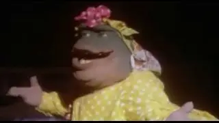ROBERTO EL PELOTUDO