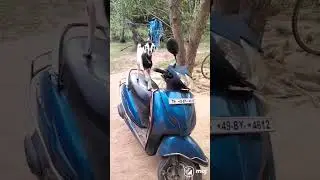 bike comedy Tamil| thoppi Brothers shorts| #shortsfeed #viral #trending #tiktok