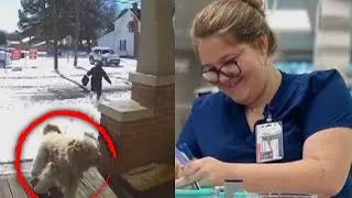 Veterinarian Assistant Charged After Rescuing Abandoned Dog