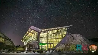 Dinosaur's Night Skies