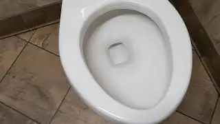 Brand new American standard RightWidth toilet