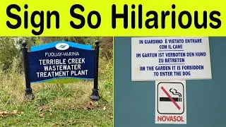 Signs So Hilarious You’ll Replay Just to Laugh Again – Instant Happiness! || Happy Panda