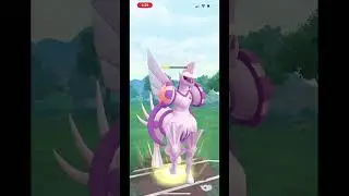Using Both Crowned Forms in the Open Master League! | #pokemongo #zacian #zamazenta #masterleague